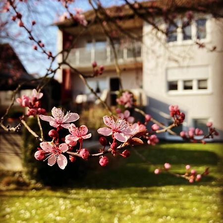 Ferienwohnung Im Aalbachtal - Uettingen Bei Wuerzburg المظهر الخارجي الصورة