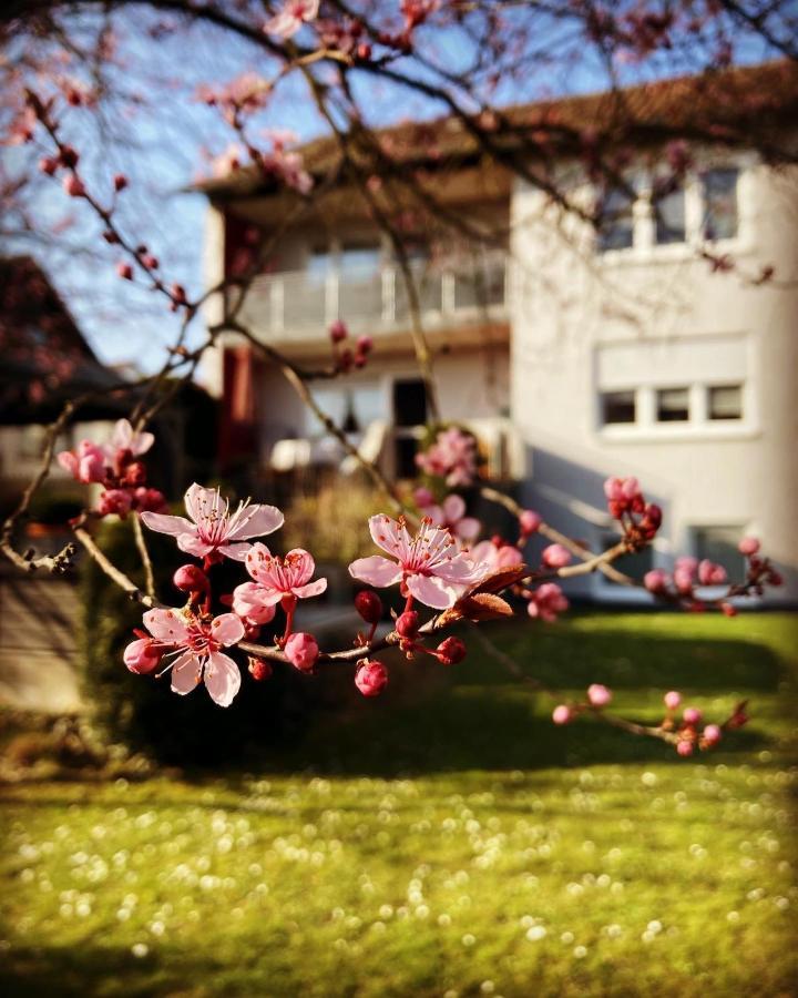 Ferienwohnung Im Aalbachtal - Uettingen Bei Wuerzburg المظهر الخارجي الصورة