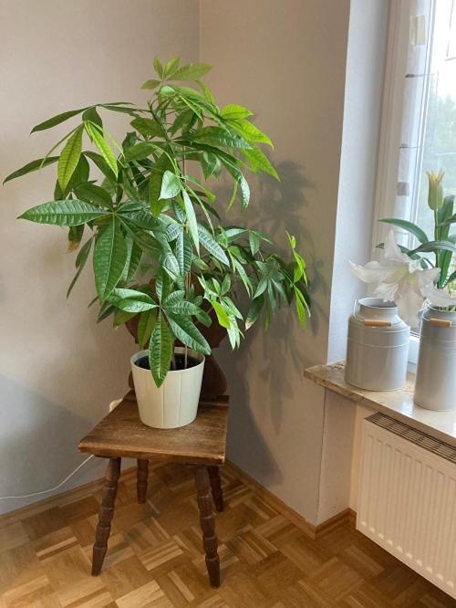 Ferienwohnung Im Aalbachtal - Uettingen Bei Wuerzburg المظهر الخارجي الصورة